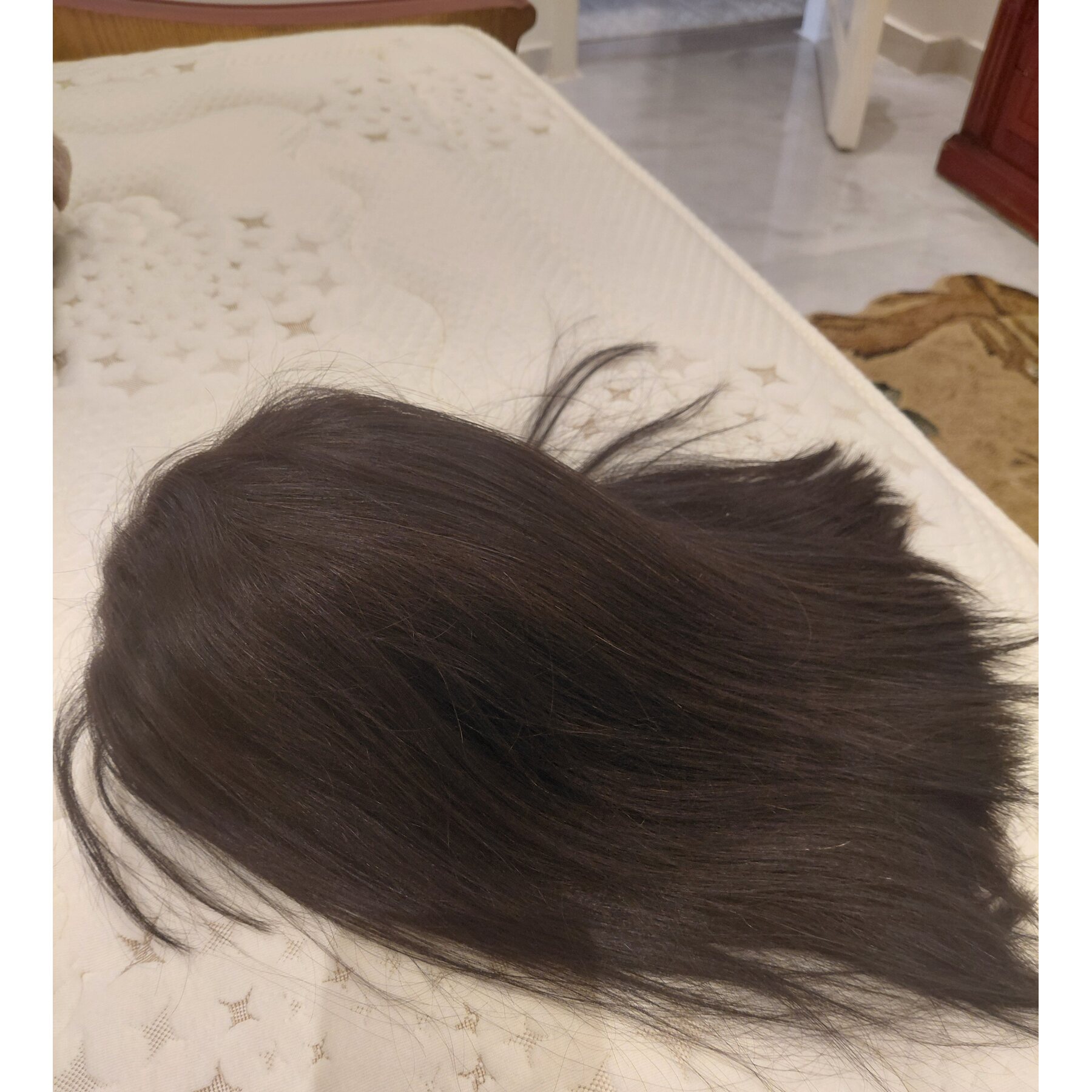 بروكه كاريه شعر طبيعي ومتلبستش ولا مره